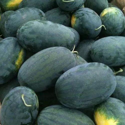 蓝媚儿吃瓜黑料怎么样,揭秘娱乐圈背后的真相