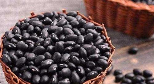 黑料吃瓜肾虚十八连,网络谣言背后的真相与反思