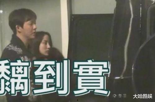 明星吃瓜黑料免费,吃瓜黑料背后的真相大揭秘