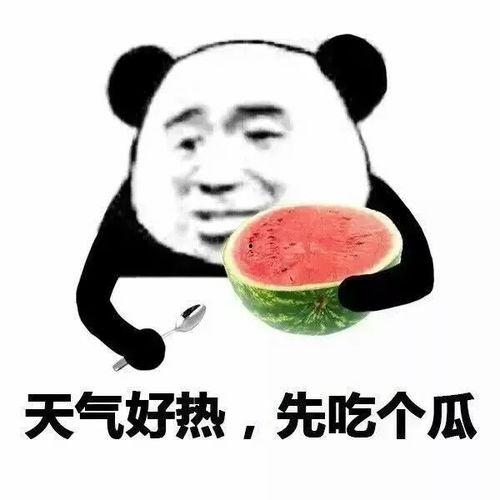 秃崽黑料吃瓜网站地址,吃瓜网站深度解析